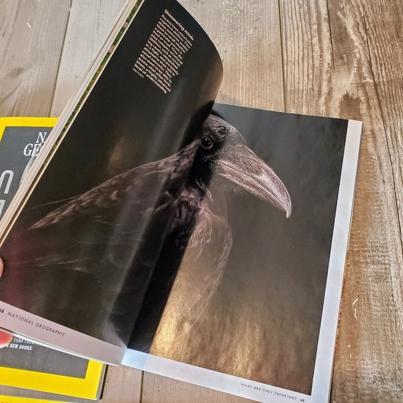 National Geographic Magazine Bundle 6pc - Picture 14 of 16
